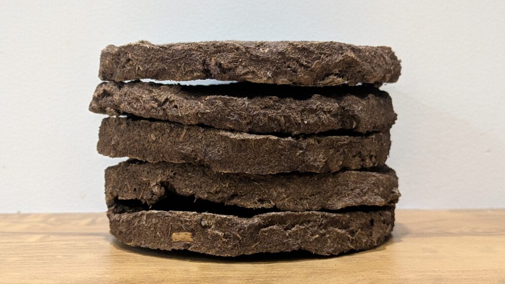 pxl 20250912 173912742.portrait.original